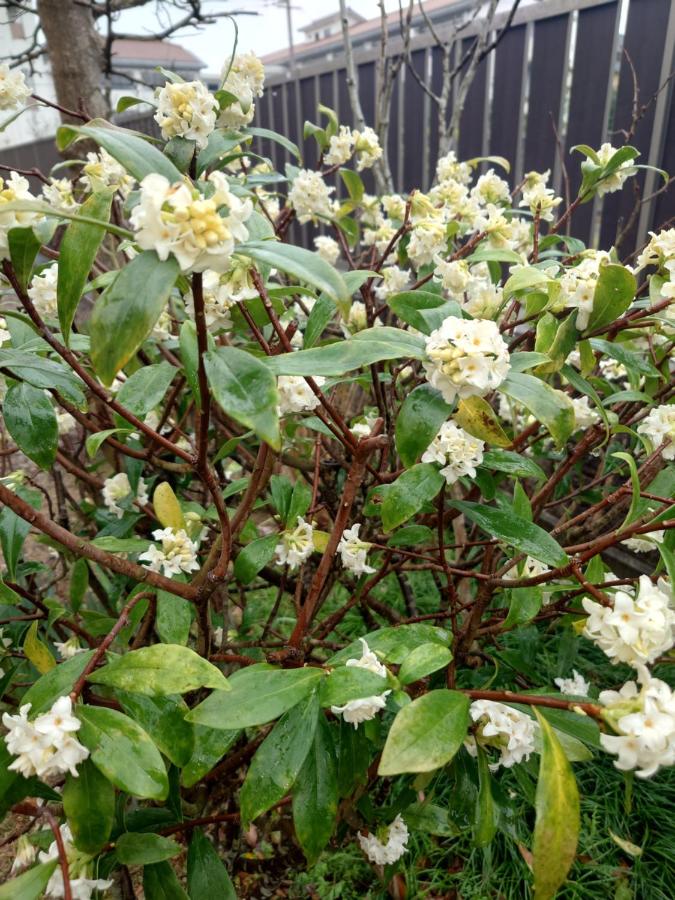 фото ゲストハウス長閑