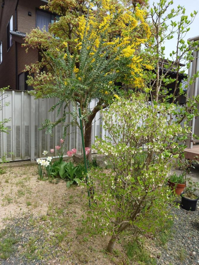 фото ゲストハウス長閑