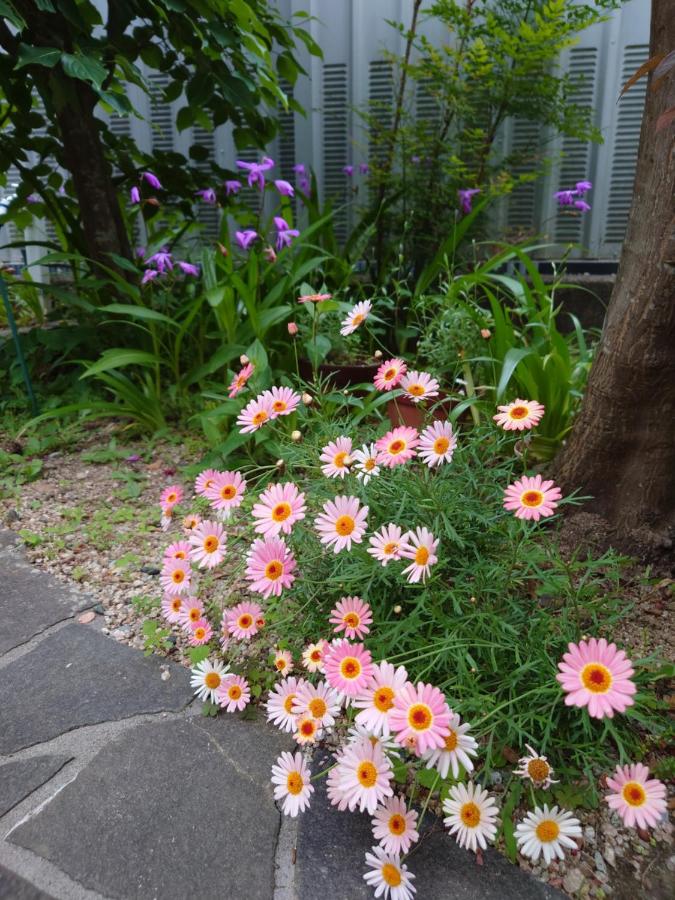 фото ゲストハウス長閑