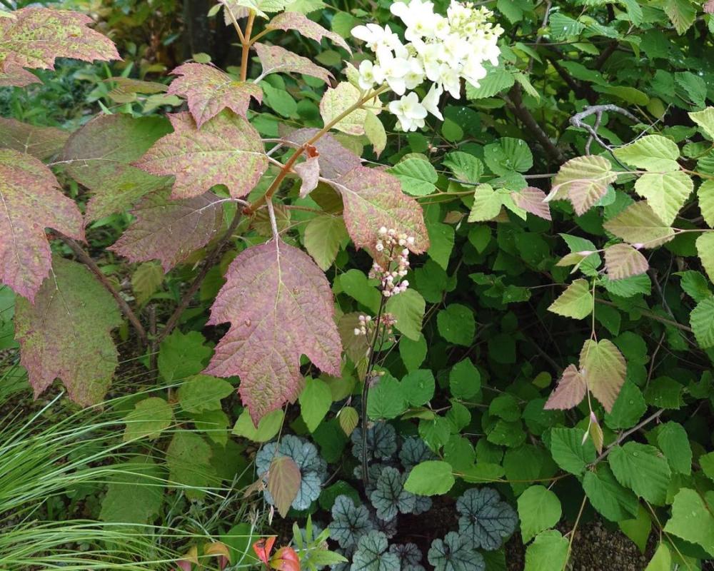 фото ゲストハウス長閑