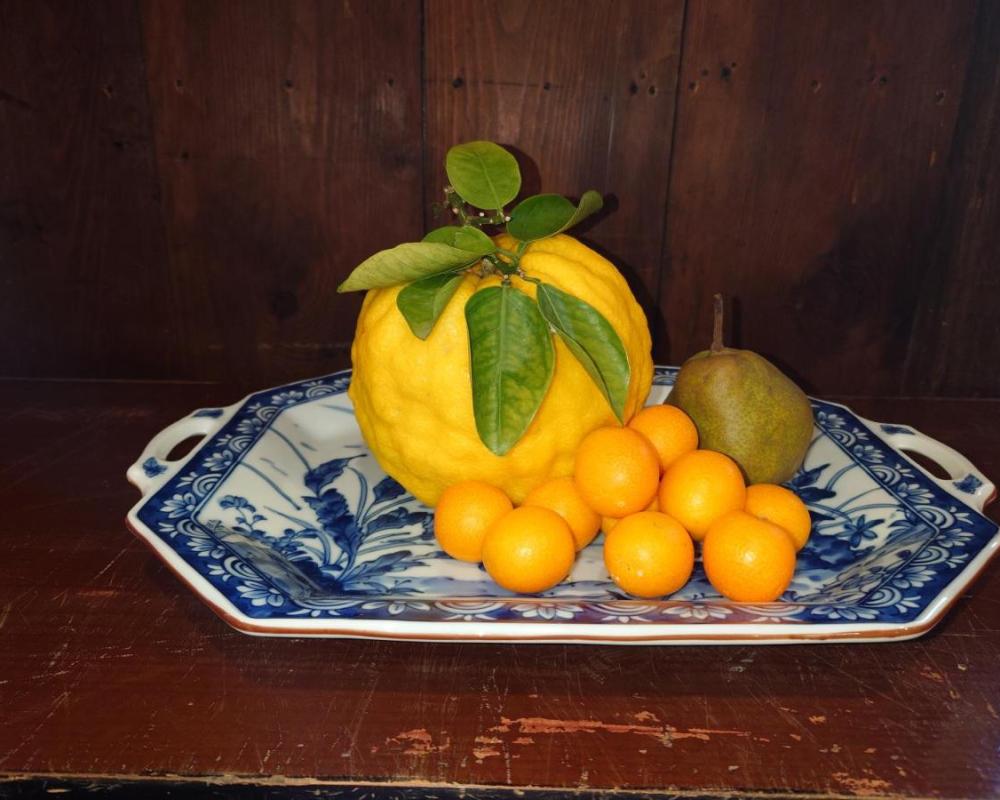 фото ゲストハウス長閑