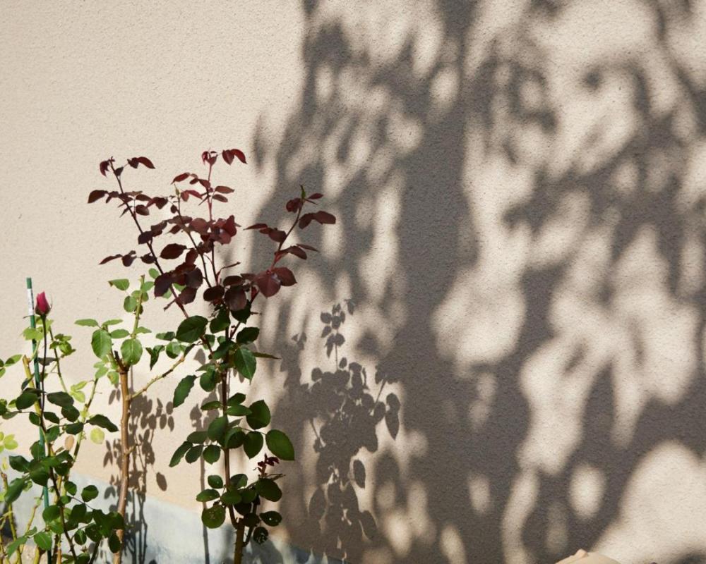 фото ゲストハウス長閑