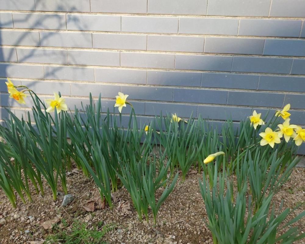 фото ゲストハウス長閑