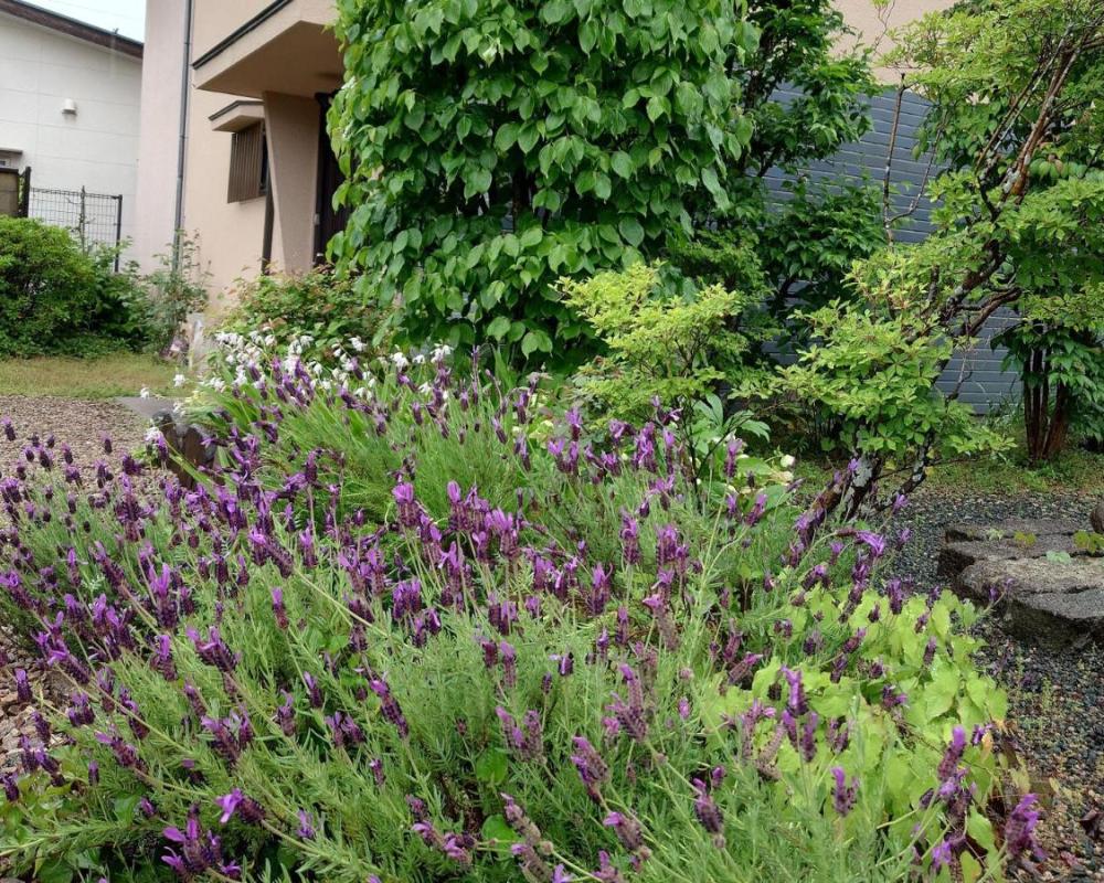 фото ゲストハウス長閑