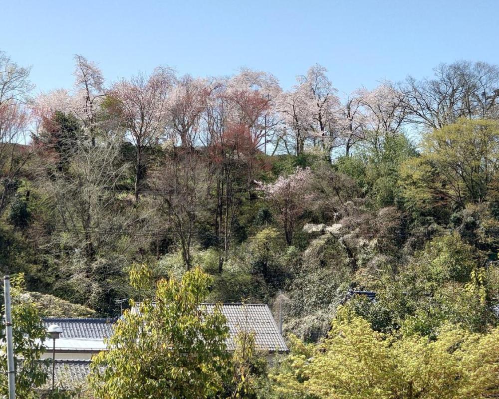 фото ゲストハウス長閑