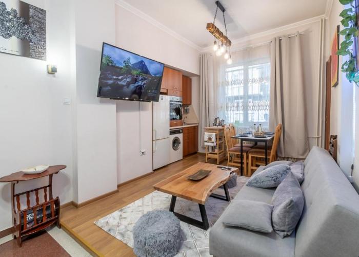Two Homelike Apartments by NDK and Vitosha Blvd with 2 Free Parking Spots