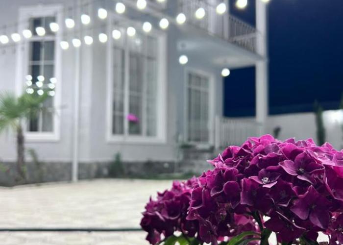 VIP Family Villa