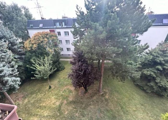 Ruheoase in Wien