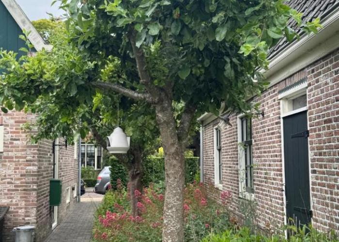 Apartment Stadsplekje