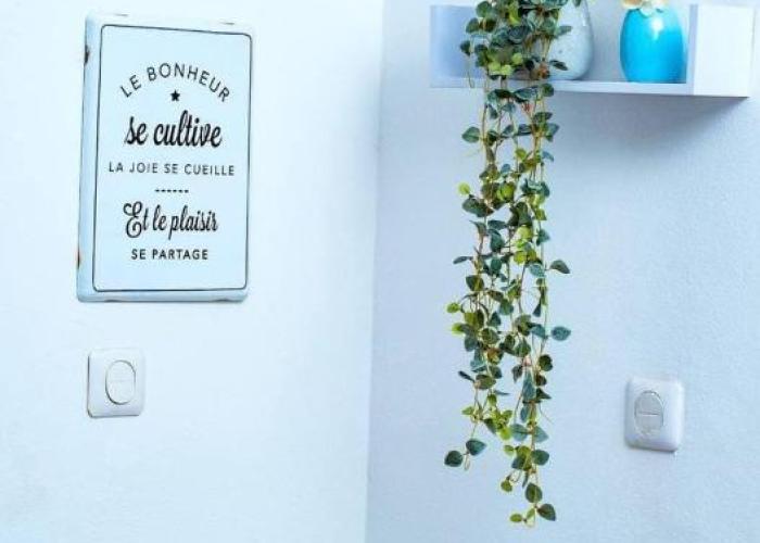 appartement cosy moon bonapriso