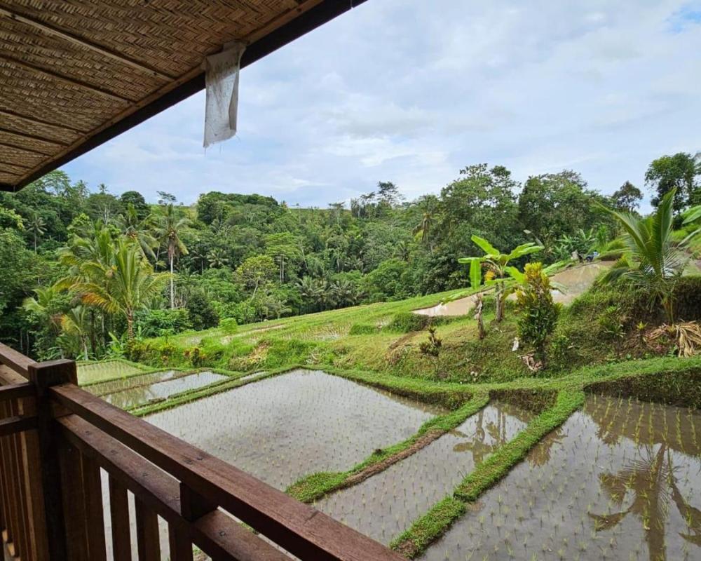 фото UmaUthu Bali