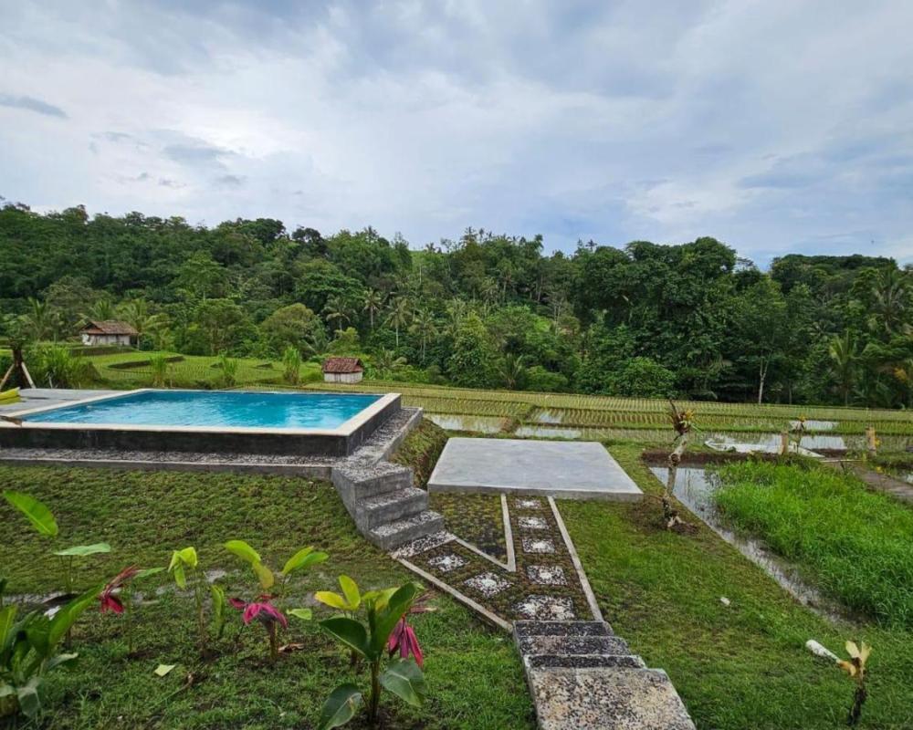 фото UmaUthu Bali