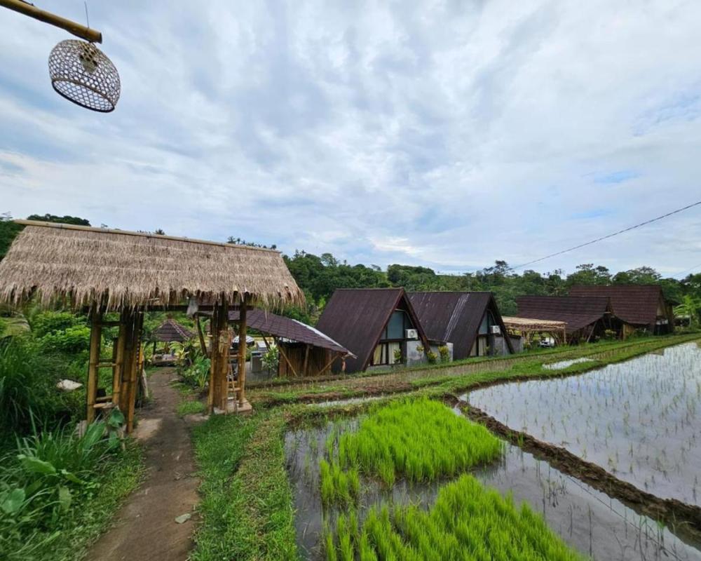 фото UmaUthu Bali