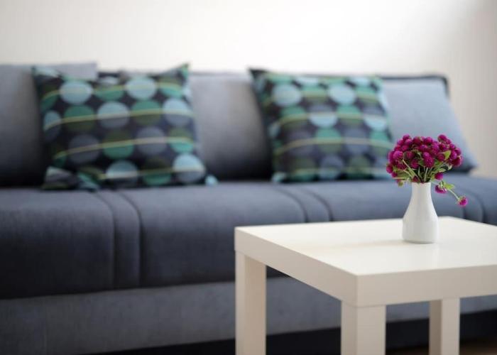Centrally located apartman Seagull