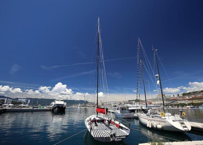 Centrally located apartman Seagull