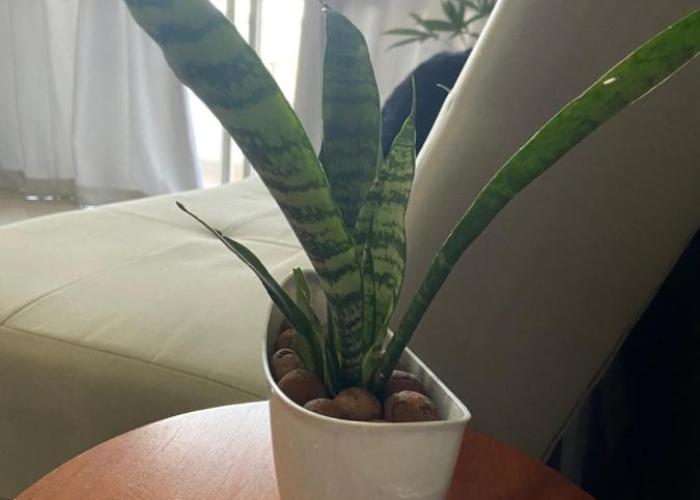 Apartamento aconchegante e bem localizado!