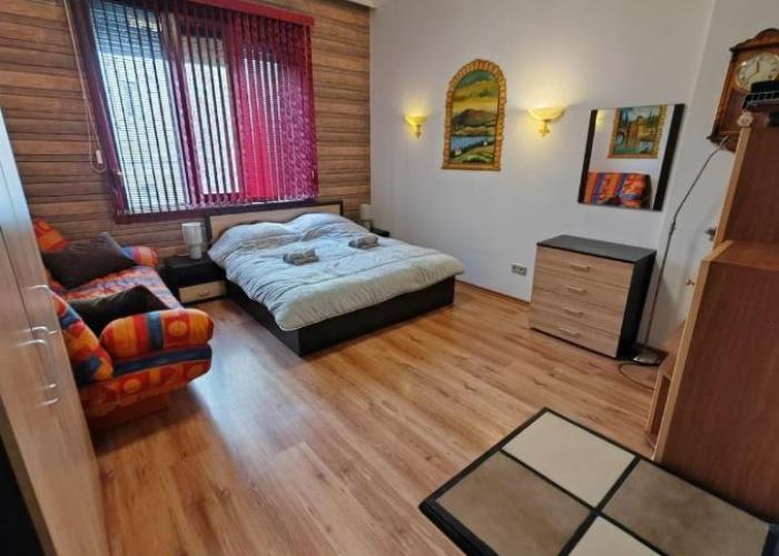 Central 1-BR Apartment