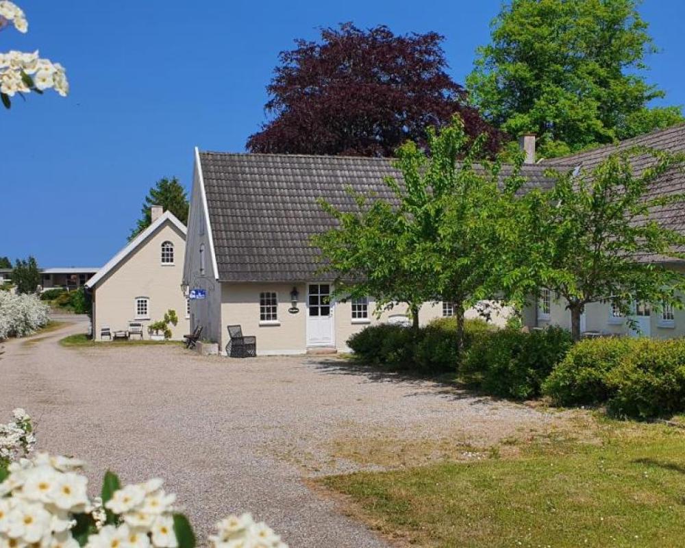 фото Store Ejlstrup Bed & Breakfast