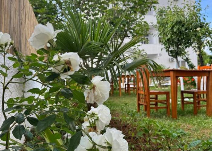 Central Garden Residence Sofia - Free Parking