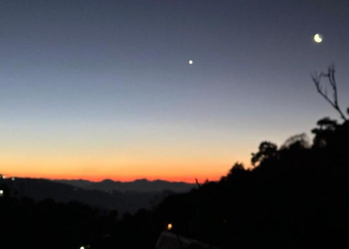 F s kasauli