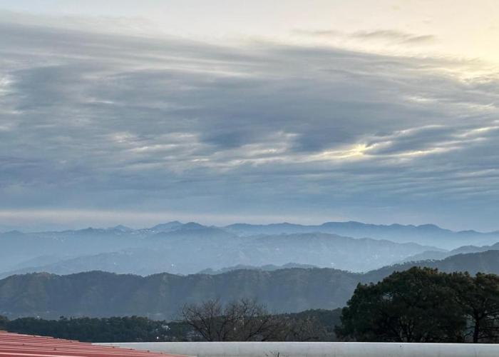 F s kasauli