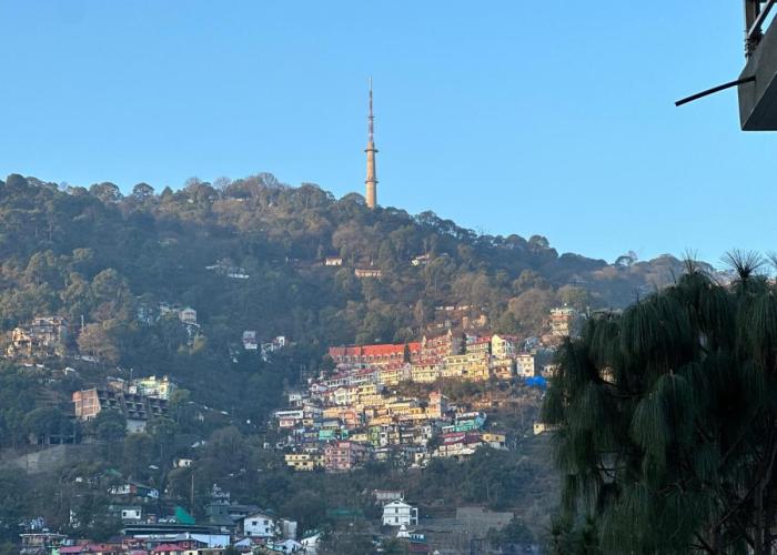 F s kasauli