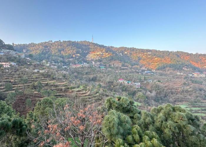 F s kasauli