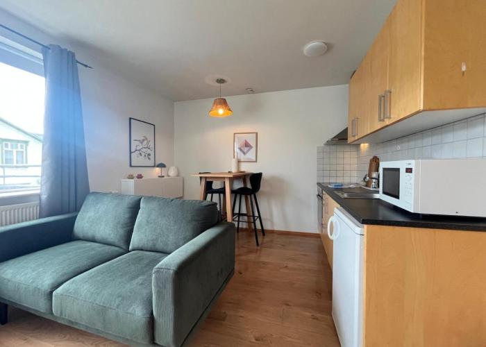 Warm and cosy downtown apartment