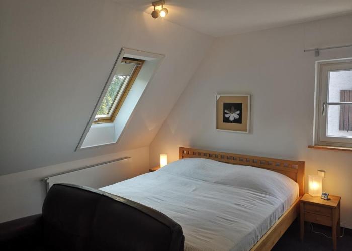 BMS BALANCE - Natur, Entspannung, King Size Bett, Free Parking, TOP Lage, Netflix
