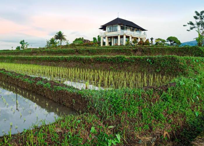 Dragonfly Cottage - 2Br Villa Jatiluwih