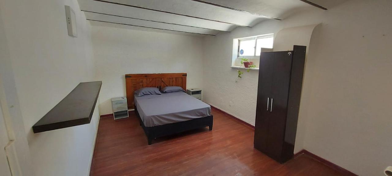 фото Palta Hostel