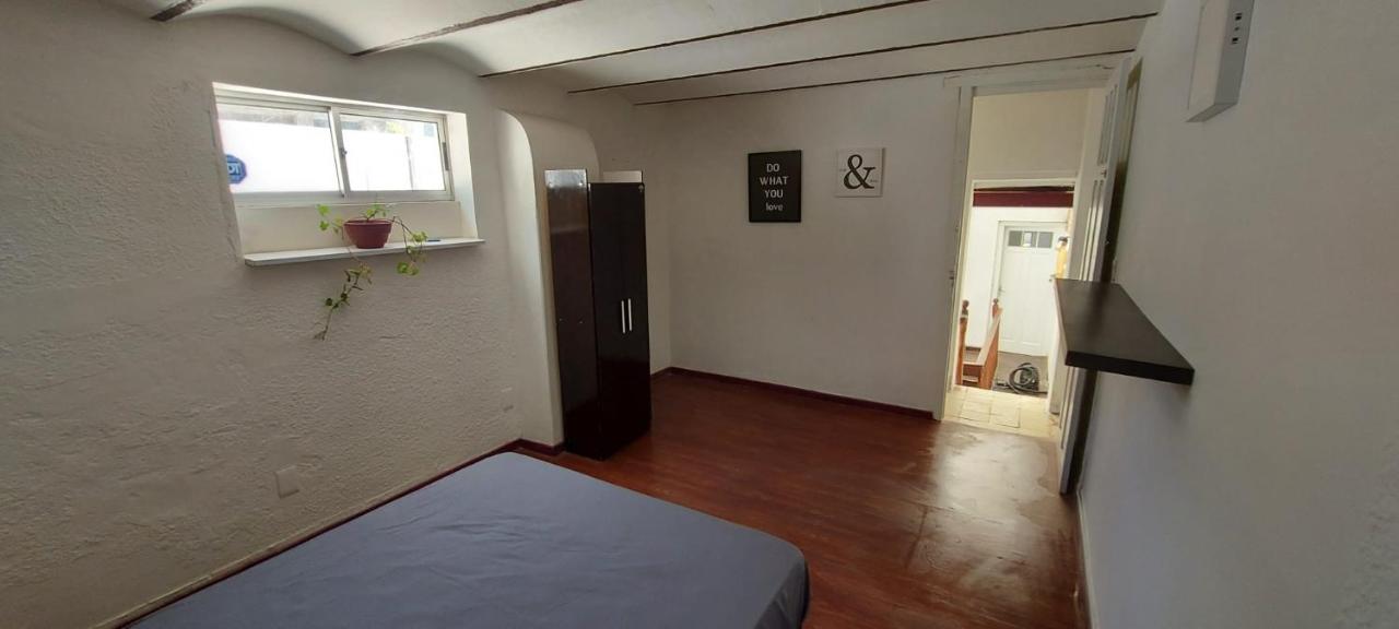 фото Palta Hostel