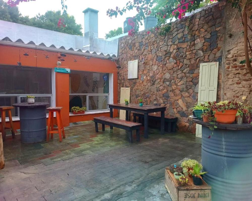 фото Palta Hostel