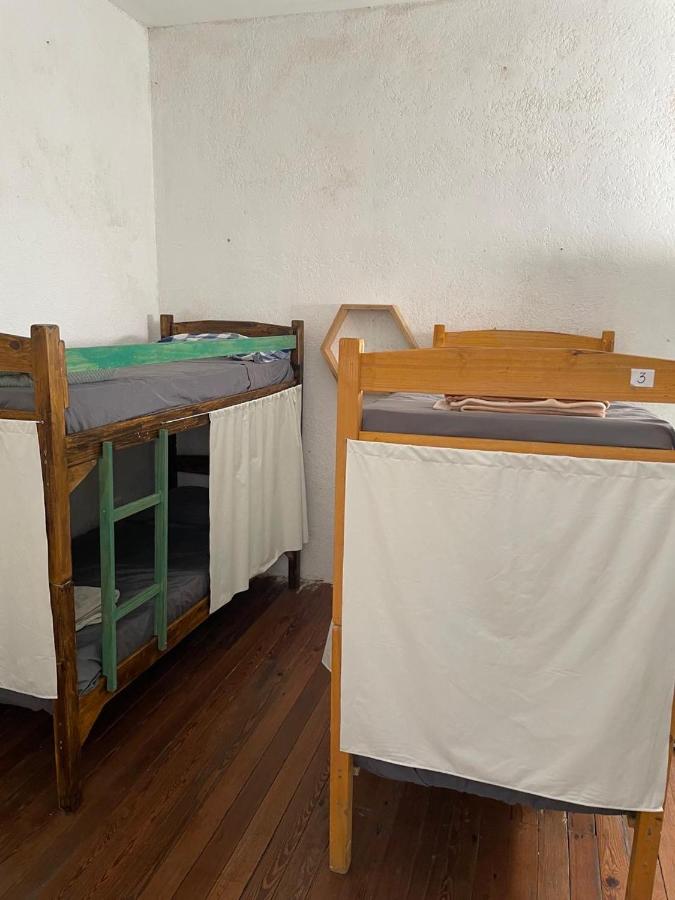 фото Palta Hostel
