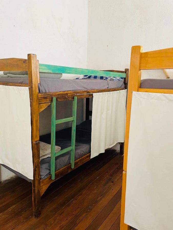 фото Palta Hostel