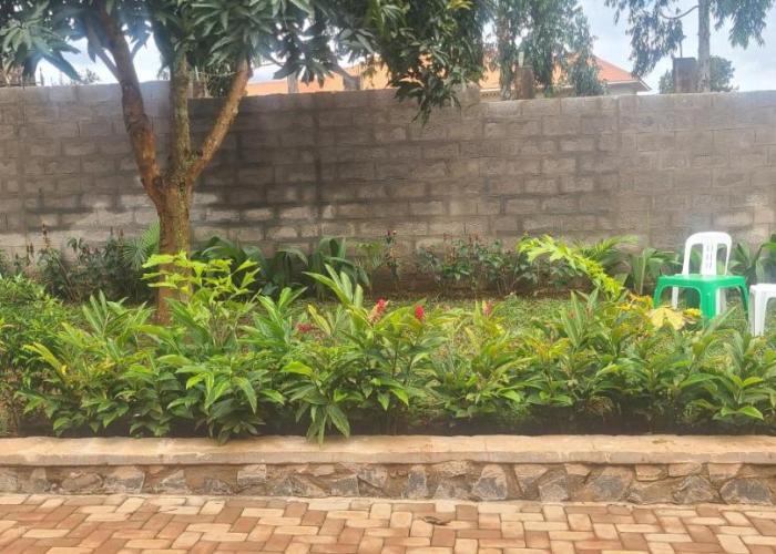 Solace Guest House