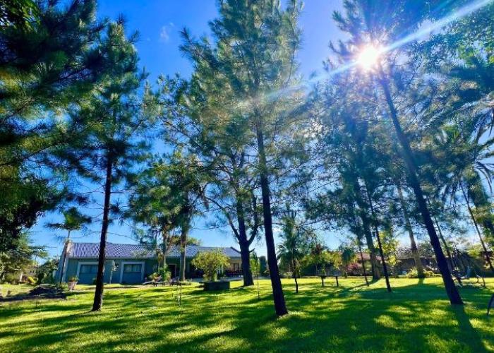 Summerfields & Gardens Lodge