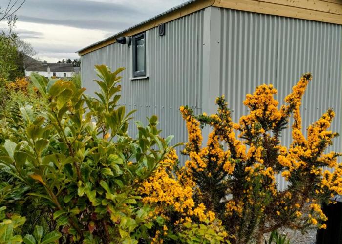 Dingle Way Glamping DANÚ Annascaul