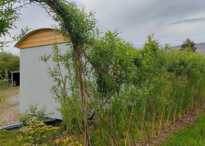 Dingle Way Glamping DANÚ Annascaul