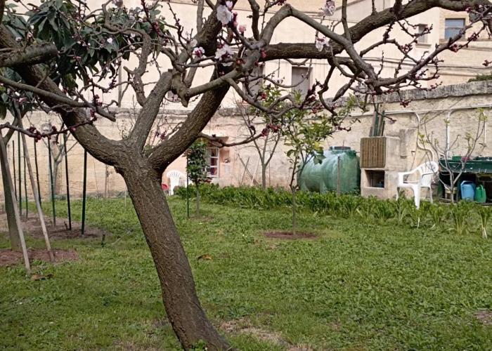 Appartamenti Cavour