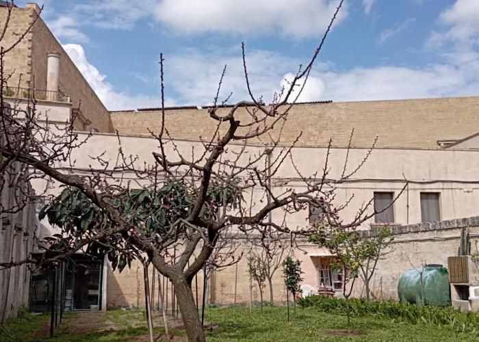 Appartamenti Cavour