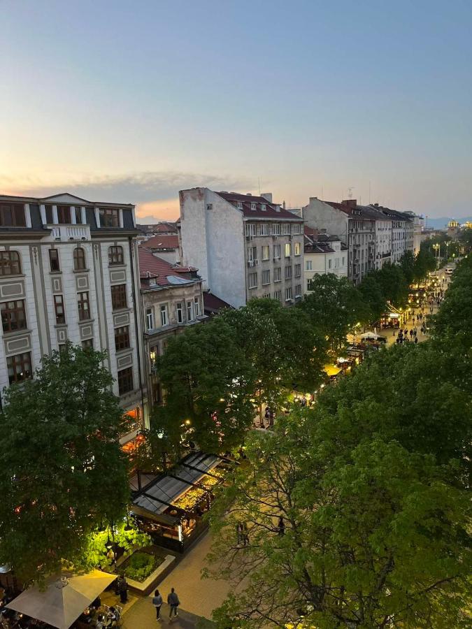 фото Vitosha Sunrise