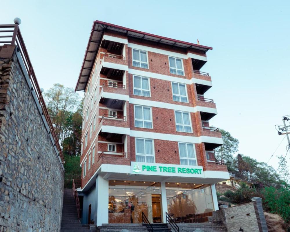 фото Pine Tree Resort