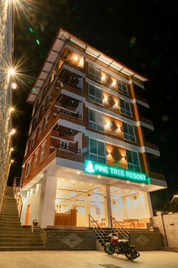 фото Pine Tree Resort