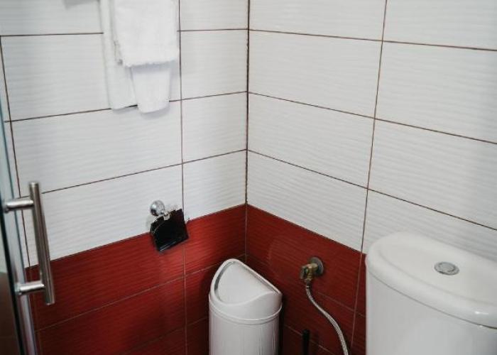 Bujtina ANLU
