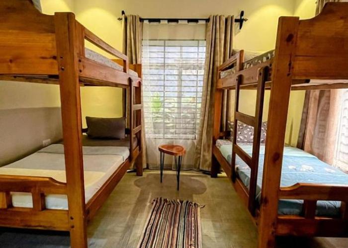 Moshi Epic Accommodation