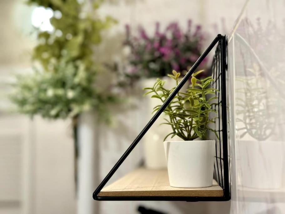 фото Sofia Sweet Spot: Central & Cozy