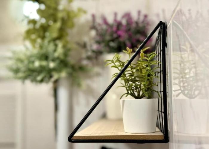 Sofia Sweet Spot: Central & Cozy