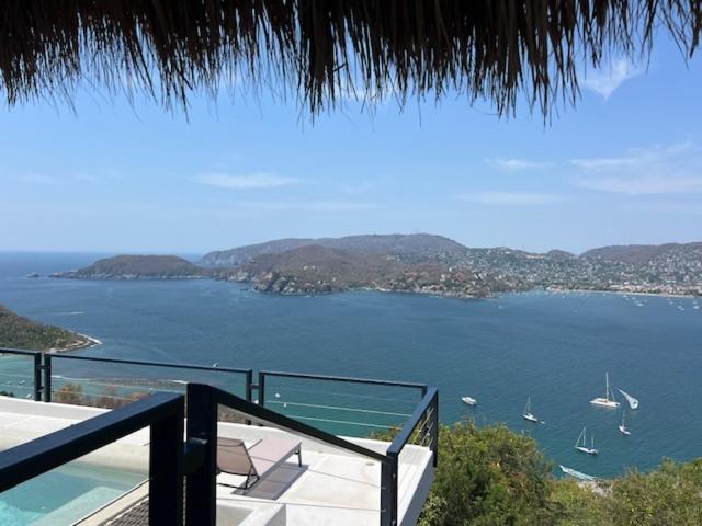 Welcome to the Jungle