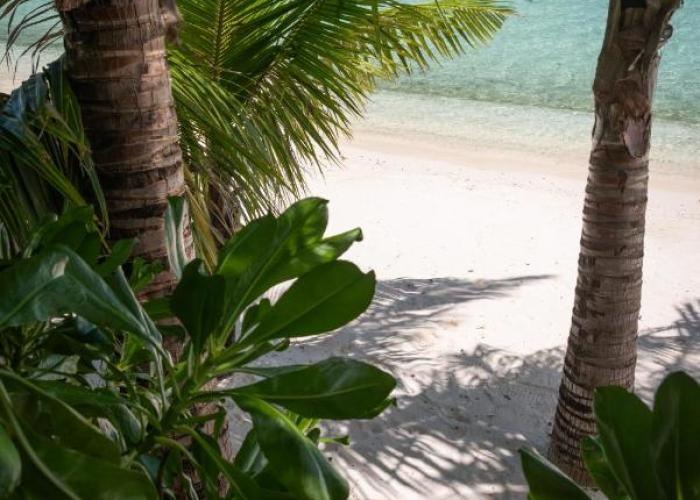 Baby Plage Bora Bora